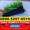 Jual Rumput Sintetis Futsal Taman.jpg