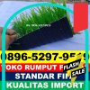 Jual Rumput Sintetis Futsal Cempa.jpg