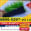 Produsen Rumput Sintetis Futsal Cangkuang.jpg