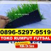 Jual Rumput Sintetis Futsal Tambakromo.jpg