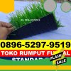 Produsen Rumput Sintetis Futsal Carita.jpg