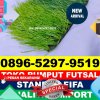 Gudang Rumput Sintetis Futsal Kerajaan.jpg