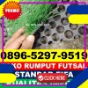 Supplier Rumput Sintetis Futsal Taliabu Selatan.jpg