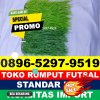 Pusat Rumput Sintetis Futsal Kemiling.jpg