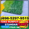 Produsen Rumput Sintetis Futsal Cermee.jpg