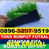 Produsen Rumput Sintetis Futsal Ciampel.jpg