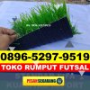 Jual Rumput Sintetis Futsal Tanah Pinem.jpg