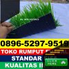 Jual Rumput Sintetis Futsal Tanah Sepenggal.jpg