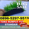 Produsen Rumput Sintetis Futsal Cibodas.jpg