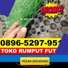 Supplier Rumput Sintetis Futsal Tampan.jpg