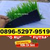 Jual Rumput Sintetis Futsal Tanggulangin.jpg