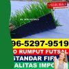 Produsen Rumput Sintetis Futsal Cidahu.jpg