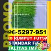 Supplier Rumput Sintetis Futsal Cenrana.jpg