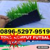 Jual Rumput Sintetis Futsal Cikadu.jpg