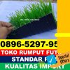 Produsen Rumput Sintetis Futsal Cihaurbeuti.jpg