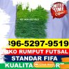 Pusat Rumput Sintetis Futsal Surian.jpg