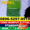 Pusat Rumput Sintetis Futsal Patani Timur.jpg