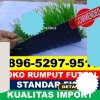 Produsen Rumput Sintetis Futsal Cilaku.jpg