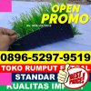 Produsen Rumput Sintetis Futsal Cimanggu.jpg