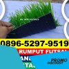 Produsen Rumput Sintetis Futsal Ciomas.jpg