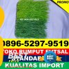 Supplier Rumput Sintetis Futsal Cilacap Selatan.jpg