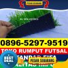 Jual Rumput Sintetis Futsal Pagaden.jpg