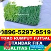 Supplier Rumput Sintetis Futsal Tasik Putri Puyu.jpg