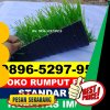 Jual Rumput Sintetis Futsal Pagar Alam Selatan.jpg