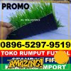 Produsen Rumput Sintetis Futsal Cipunagara.jpg