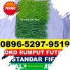 Pusat Rumput Sintetis Futsal Tambelan.jpg