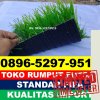 Jual Rumput Sintetis Futsal Cisauk.jpg