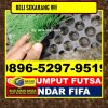 Supplier Rumput Sintetis Futsal Pematang Jaya.jpg