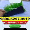 Jual Rumput Sintetis Futsal Tellu Siattinge.jpg