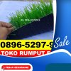 Jual Rumput Sintetis Futsal Teluk Bayur.jpg