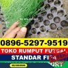 Supplier Rumput Sintetis Futsal Kota Jantho.jpg