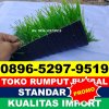 Jual Rumput Sintetis Futsal Colomadu.jpg