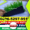 Jual Rumput Sintetis Futsal Teluk Meranti.jpg