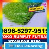 Gudang Rumput Sintetis Futsal Peunaron.jpg