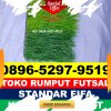 Pusat Rumput Sintetis Futsal Tanah Pinoh Barat.jpg