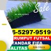 Jual Rumput Sintetis Futsal Telukbetung Timur.jpg