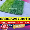 Produsen Rumput Sintetis Futsal Kota Semarang.jpg