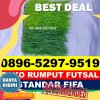 Pusat Rumput Sintetis Futsal Kota Sabang.jpg