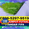 Gudang Rumput Sintetis Futsal Pining.jpg