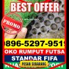 Supplier Rumput Sintetis Futsal Telok PaKedai.jpg