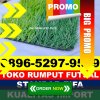 Supplier Rumput Sintetis Futsal Kota Padang Panjang.jpg