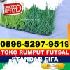 Supplier Rumput Sintetis Futsal Teluk Betung Selatan.jpg