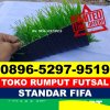 Jual Rumput Sintetis Futsal Darmaraja.jpg