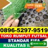 Supplier Rumput Sintetis Futsal Petungkriono.jpg