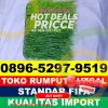 Supplier Rumput Sintetis Futsal Ciwandan.jpg