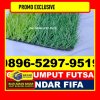 Jual Rumput Sintetis Futsal Terusan Nunyai.jpg